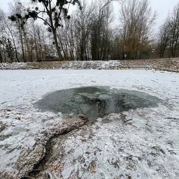 Fot. Daniel Wiśniewski