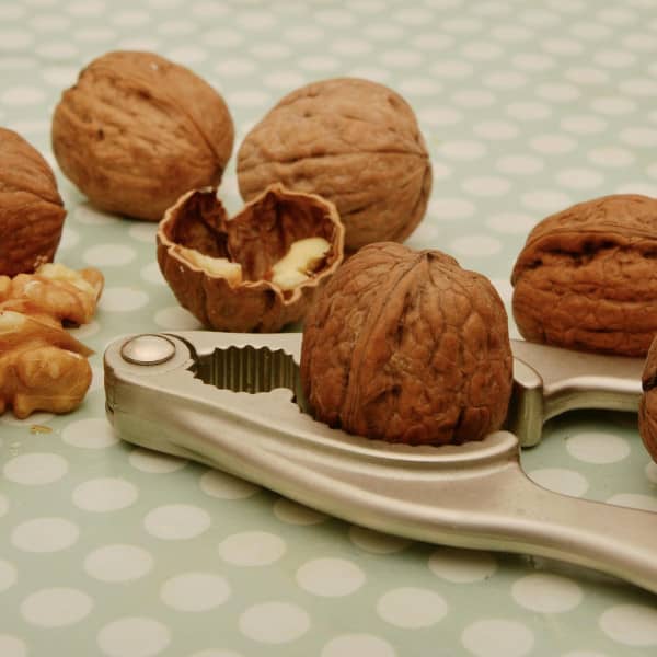 Obraz congerdesign z Pixabay