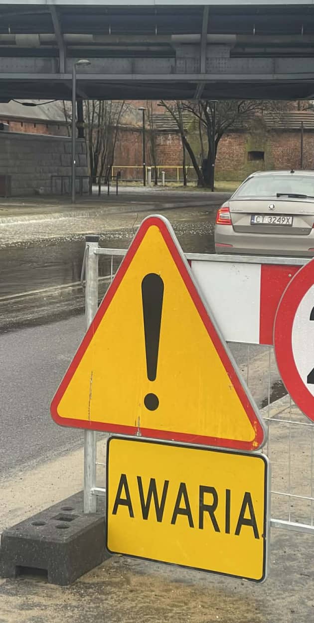 Fot: Daniel Wiśniewski 