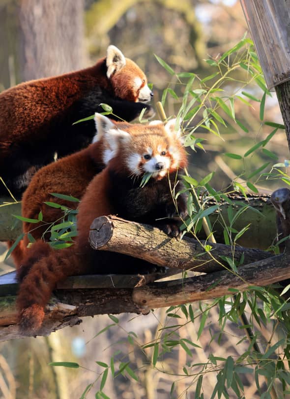 Fot. © UMT 2026, autor: Sławomir Kowalski, licencja: CC BY-NC 4.0