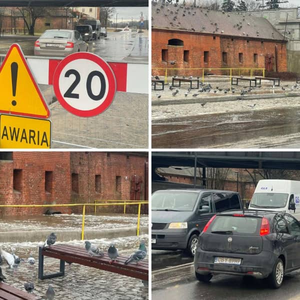 Fot: Daniel Wiśniewski 