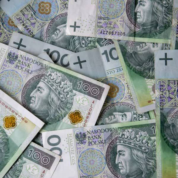 Obraz Królestwo_Nauki z Pixabay