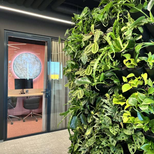 Fot: Weronika Polichnowska