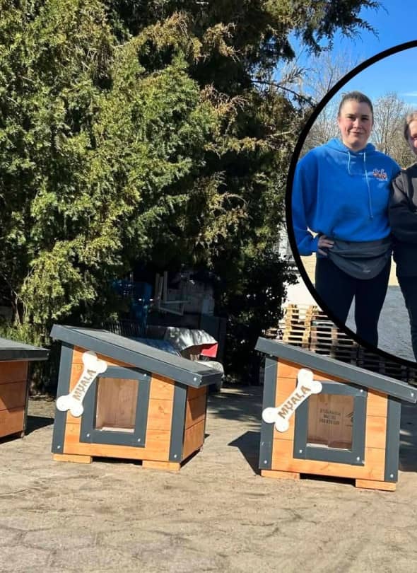 Schronisko Dla Zwierząt Toruń