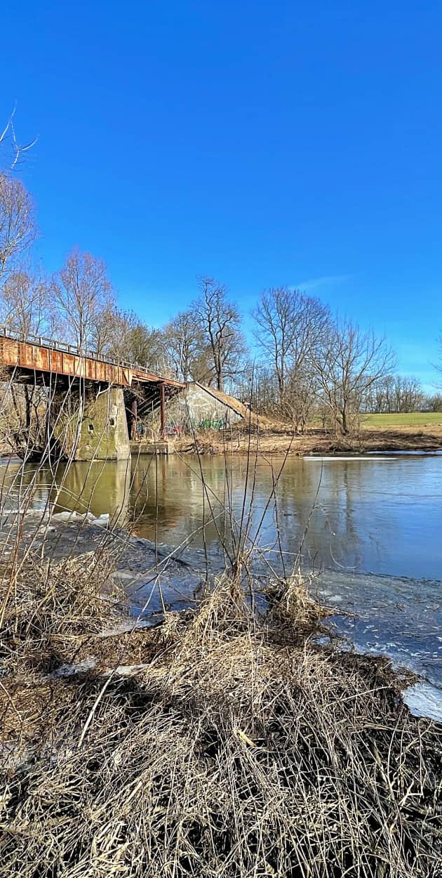 Fot. Daniel Wiśniewski