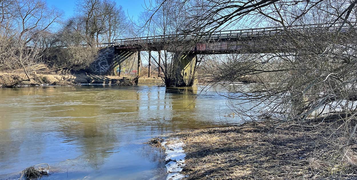 Fot. Daniel Wiśniewski