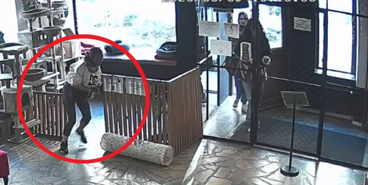 Fot. Screen Facebook