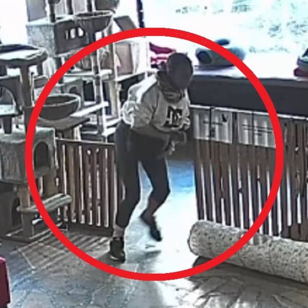 Fot. Screen Facebook