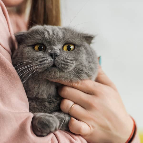 Zdjęcie ilustracyjne. Depositphotos