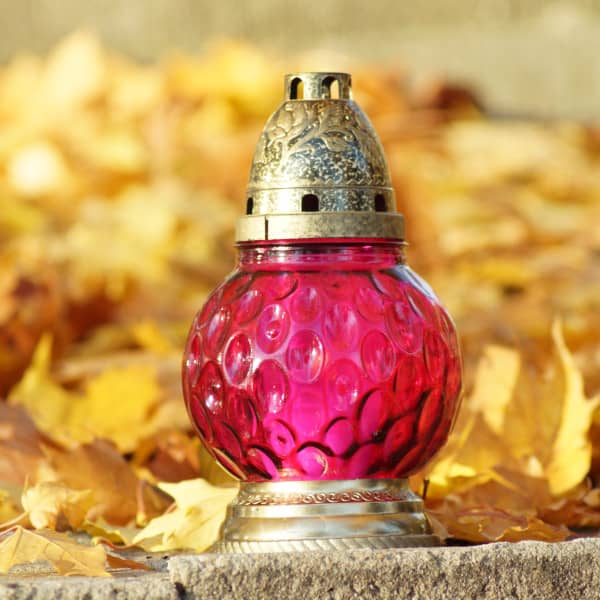 Natalia Seklecka | Dzień Dobry Włocławek