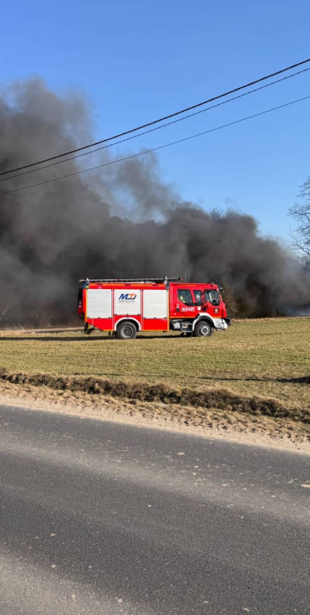 Fot. Tomasz Tuszyński 