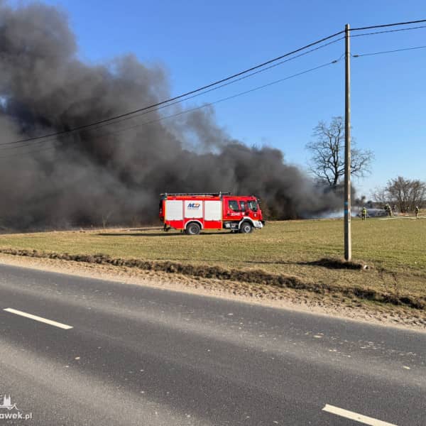 Fot. Tomasz Tuszyński 