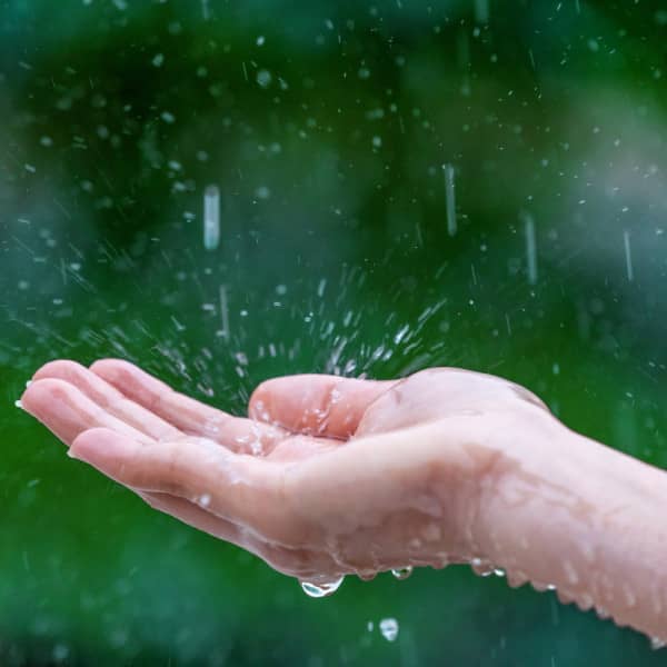 Obraz autorstwa tawatchai07 na Freepik