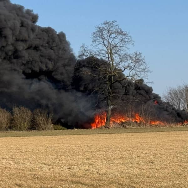 Fot. Tomasz Tuszyński