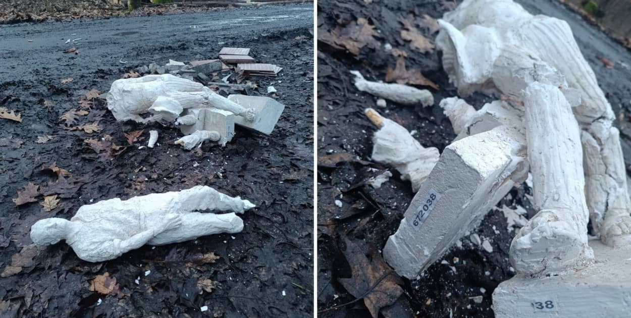 Fot. Nadleśnictwo Golub-Dobrzyń