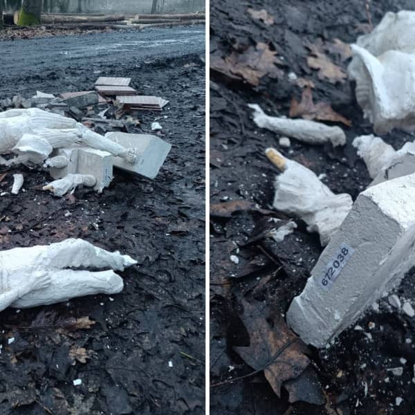 Fot. Nadleśnictwo Golub-Dobrzyń