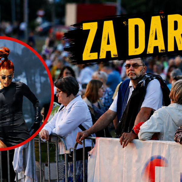 Zdjęcie