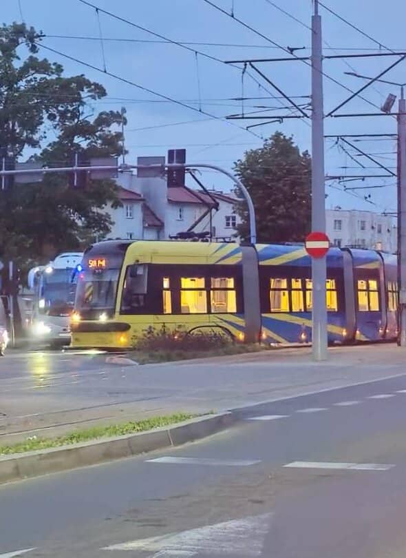 Zdjęcie