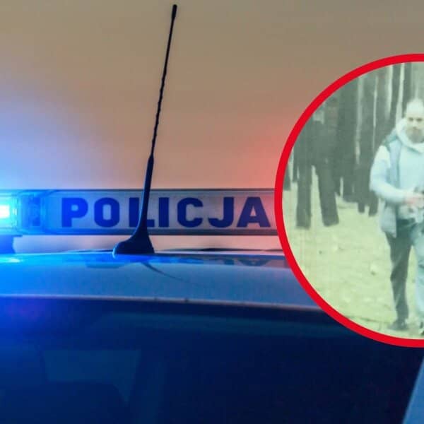 Zdjęcie