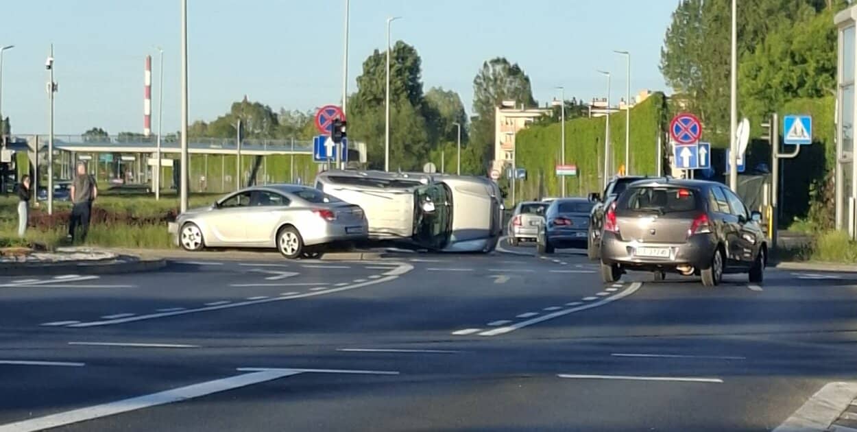Zdjęcie