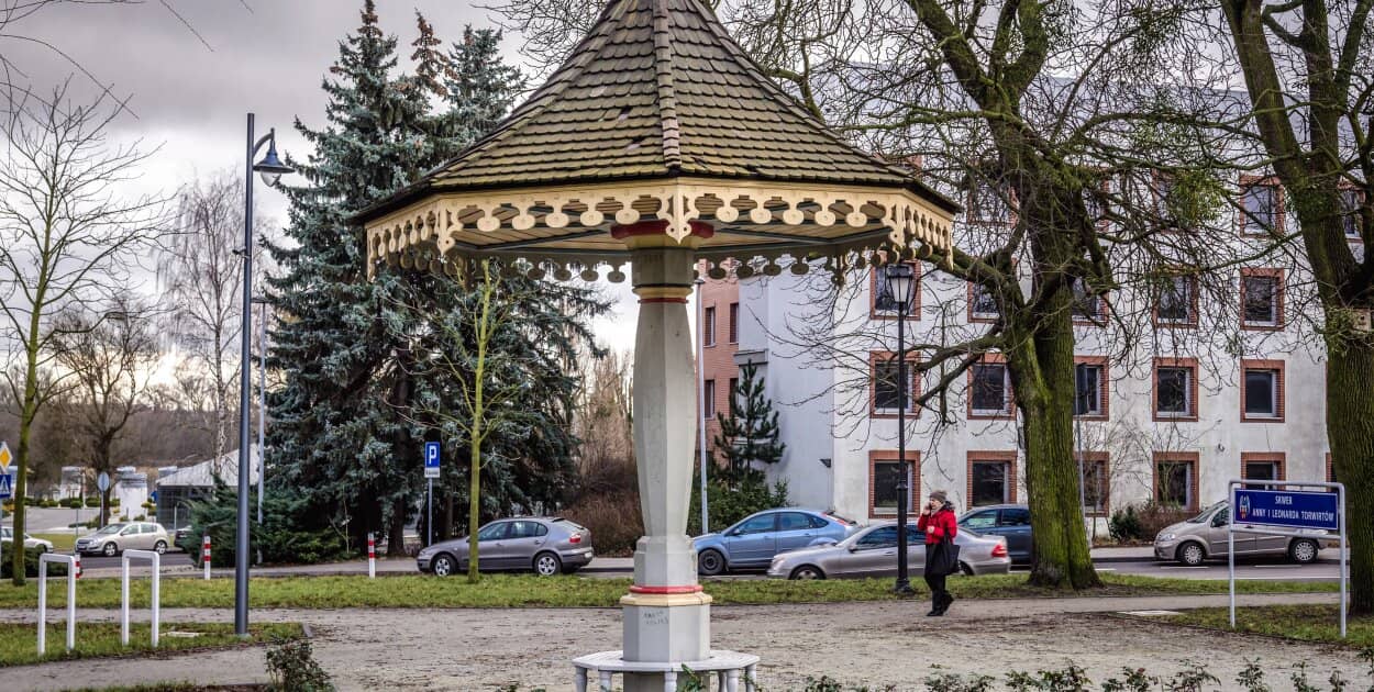 Zdjęcie
