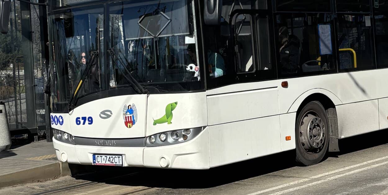 Zdjęcie