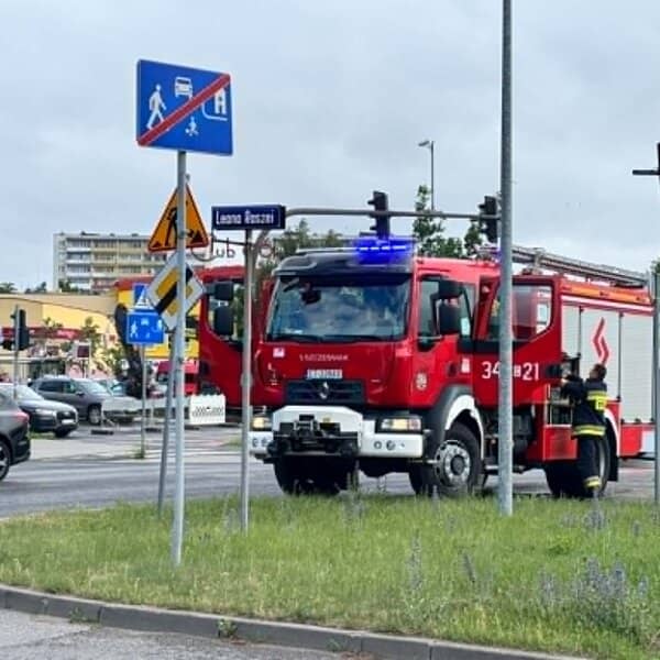 Zdjęcie