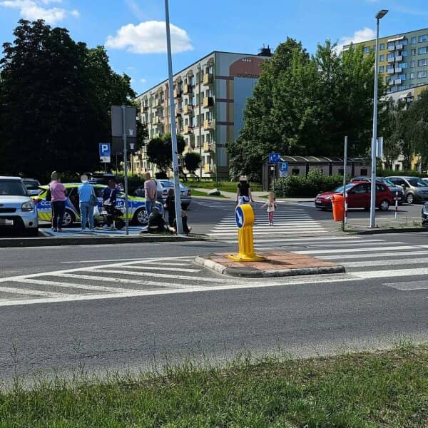 Zdjęcie