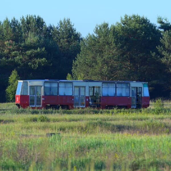 Zdjęcie