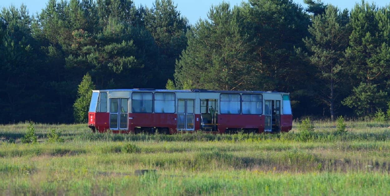 Zdjęcie