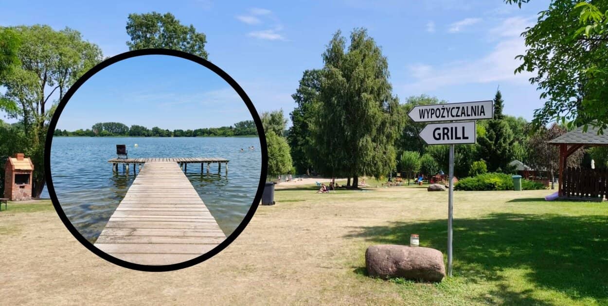 Zdjęcie