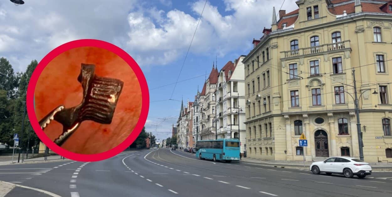 Zdjęcie