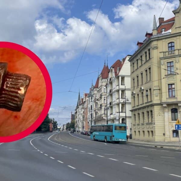 Zdjęcie