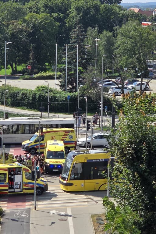 Zdjęcie