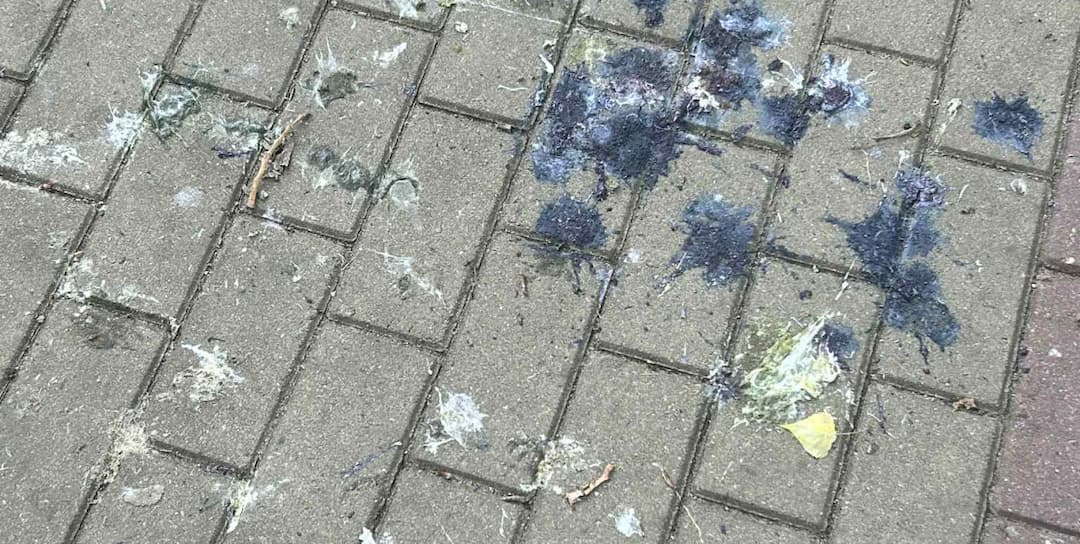 Fot: FB Na Skarpie Toruń