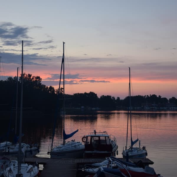 Obraz TUDOREK z Pixabay