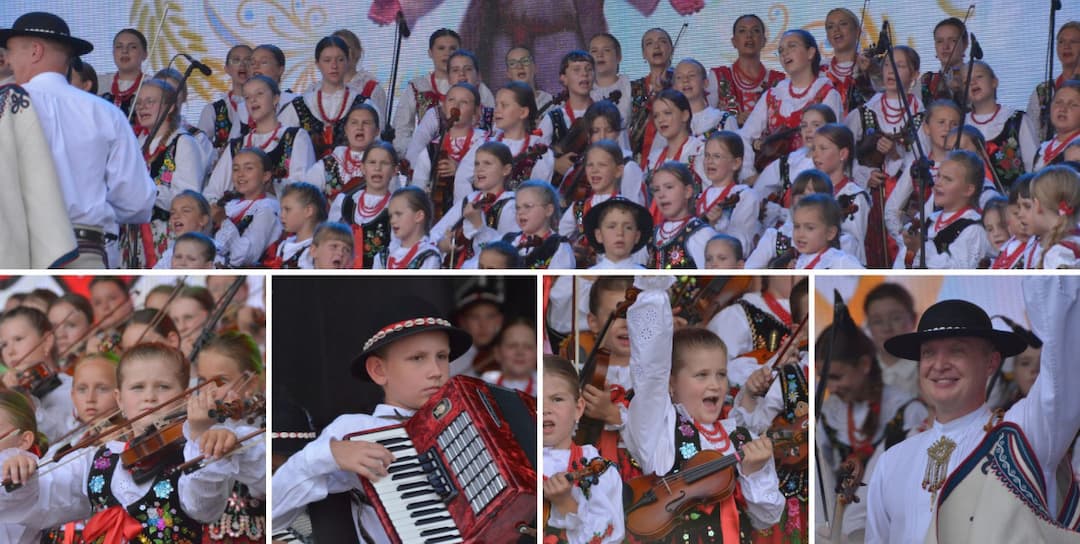 Zdjęcie