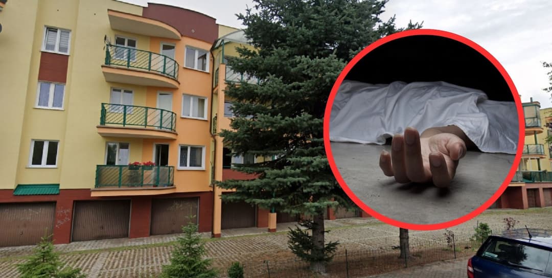 Zdjęcie