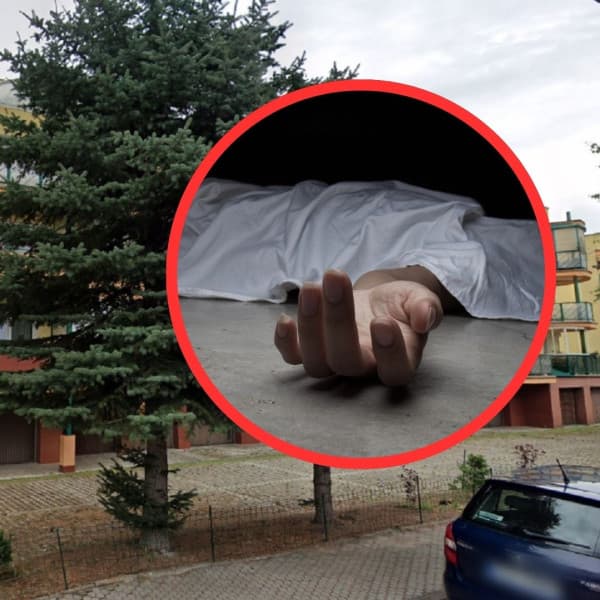 Zdjęcie
