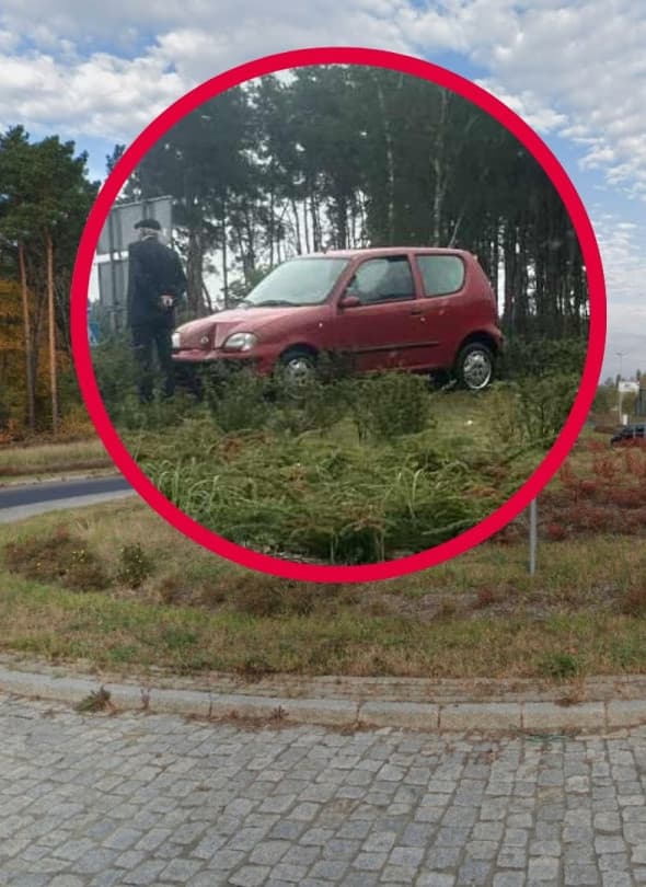 Zdjęcie