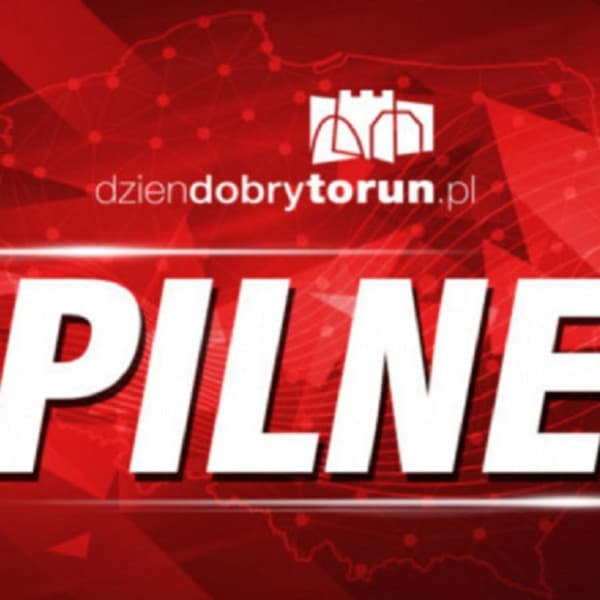 Archiwum DDToruń