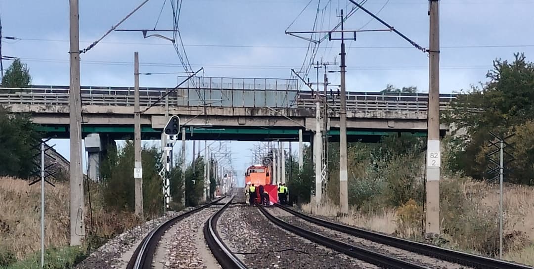 Fot. Daniel Wiśniewski