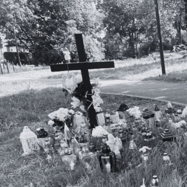 Fot. Daniel Wiśniewski