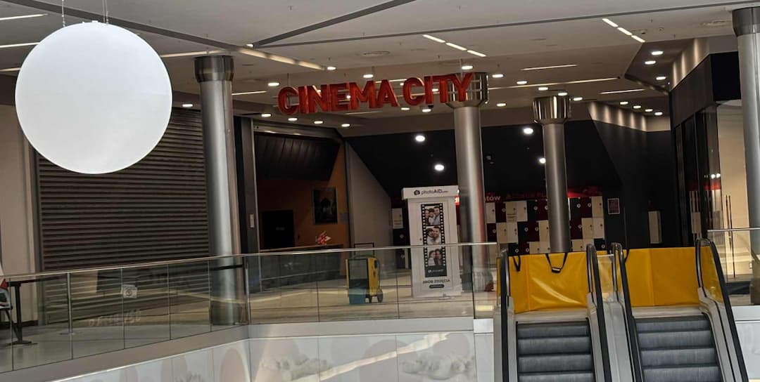 Zdjęcie