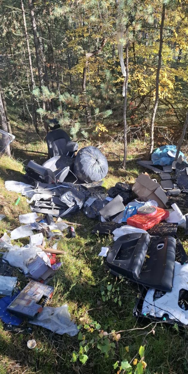 Fot. Nadleśnictwo Dobrzejewice, Lasy Państwowe