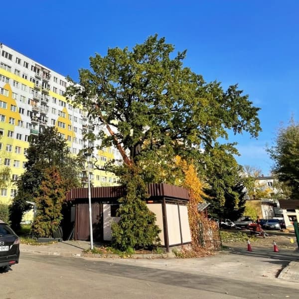 Fot. Daniel Wiśniewski