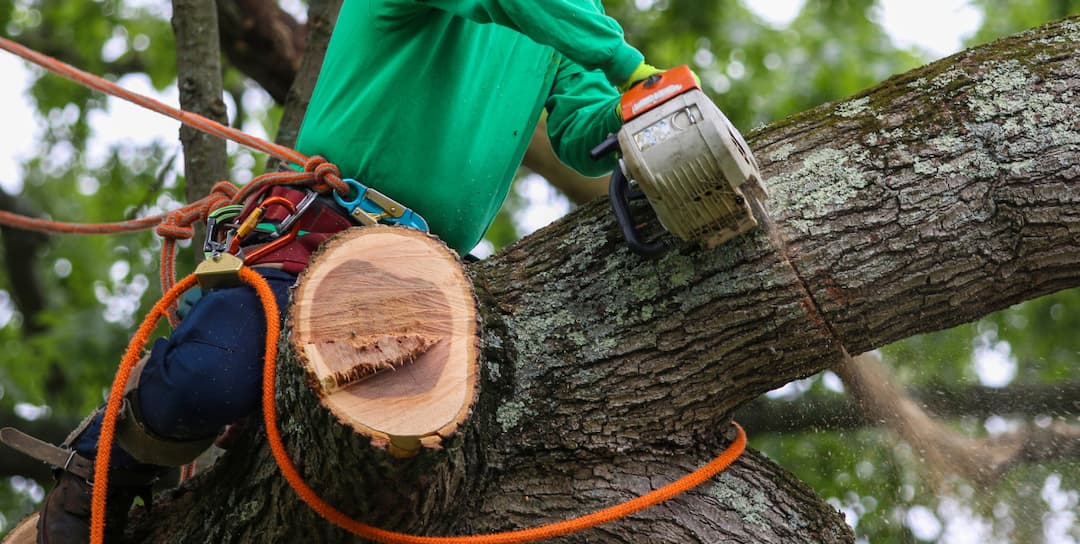 Zdjęcie ilustracyjne. Depositphotos