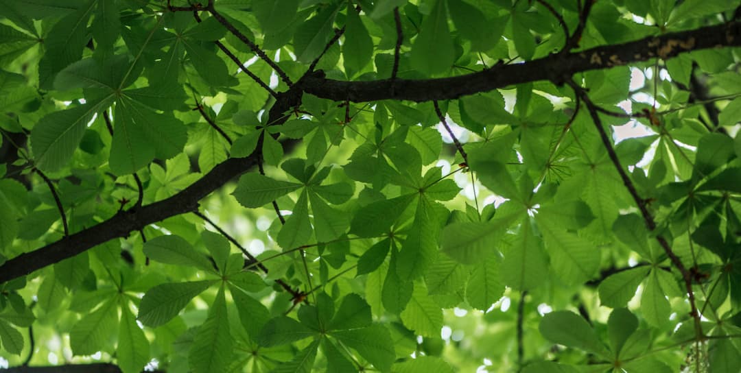 Zdjęcie ilustracyjne. Depositphotos