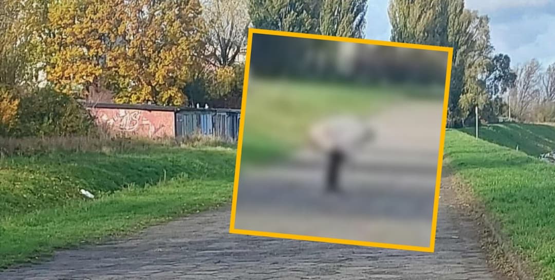 Fot. Spotted Włocławek