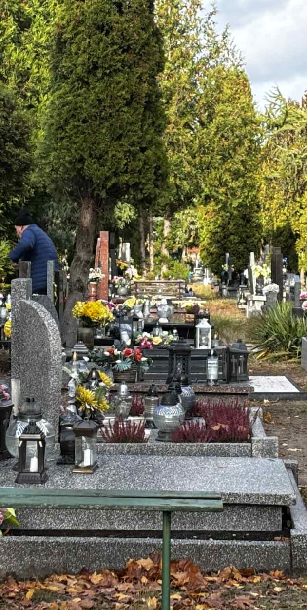 Fot: Weronika Polichnowska 